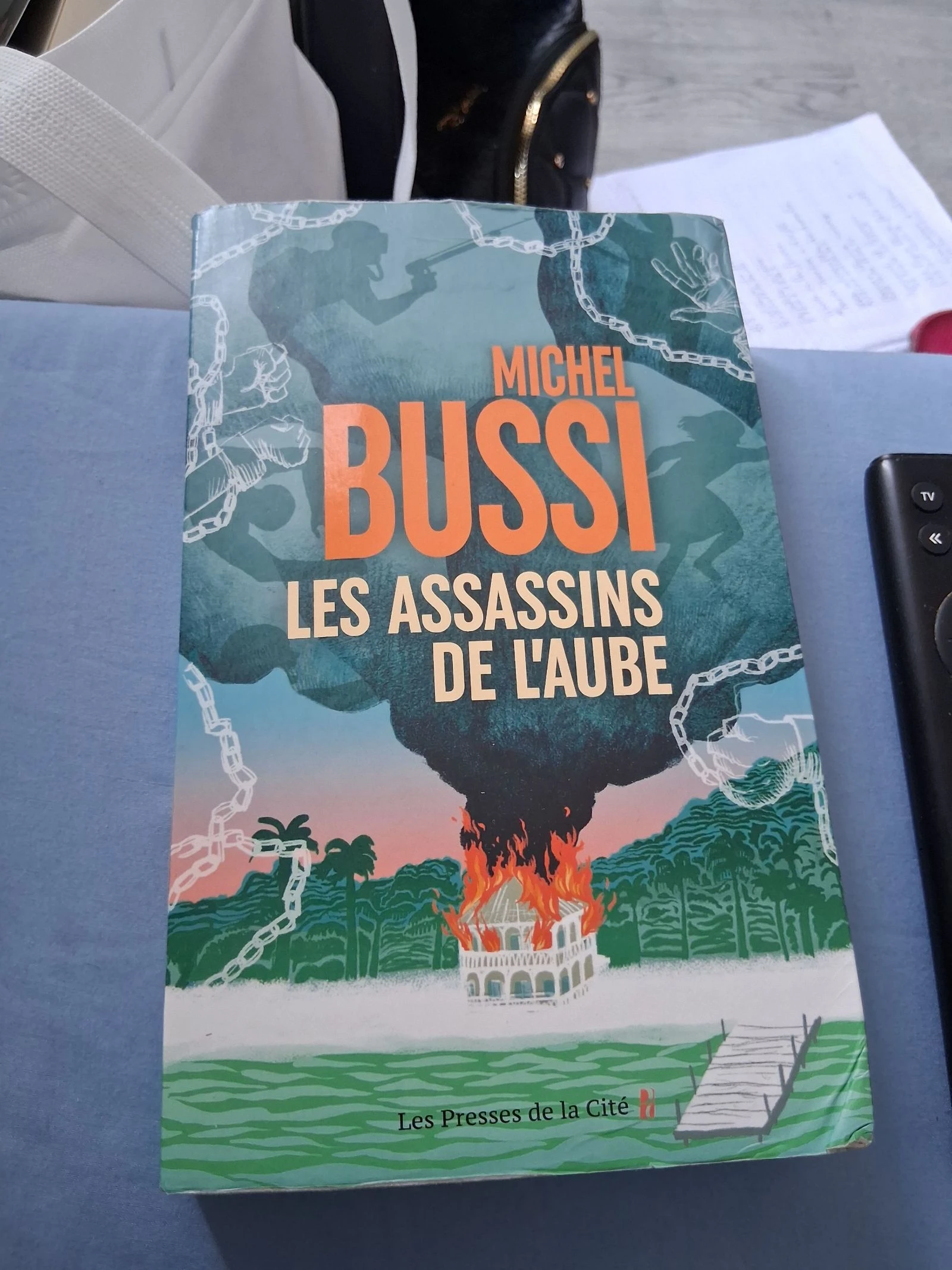 Livre les assassins de l'aube 